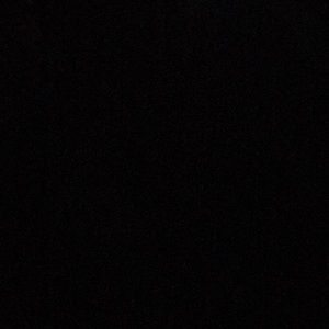 Meet your Posher, Cam’ron